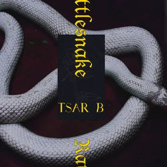 Rattlesnake by Tsar B