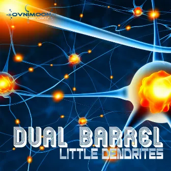 Little Dendrites by Dual Barrel