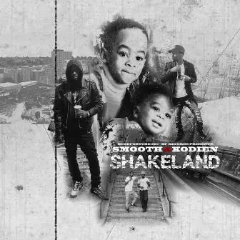 SHAKELAND by HFSMOOTH