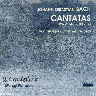 Bach: Cantatas 146, 33 & 103 by Marcel Ponseele