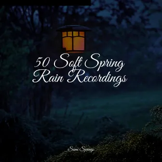 50 Soft Spring Rain Recordings by Academia de Meditação Buddha