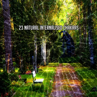 23 Natural Internalised Chakras by Outside Broadcast Recordings