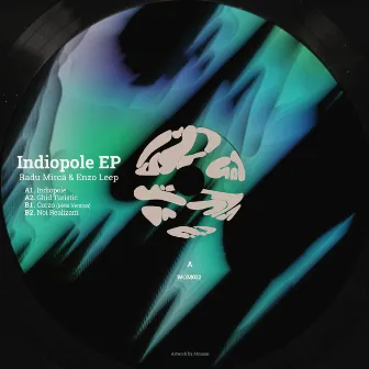 Indiopole by Radu Mirica