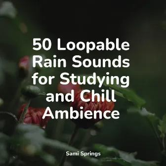 50 Natural Rain Sounds for Stress Relief by Sleep Sound Library