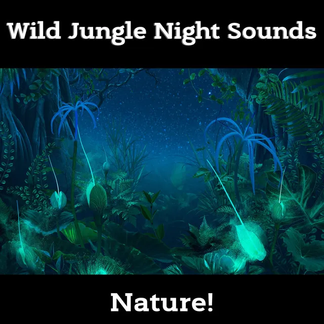 Wild Jungle Night Sounds & the Forest