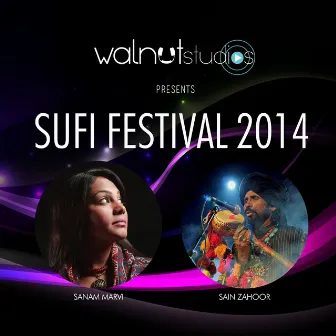 Sufi Festival 2014 (Peace Jam) by Sain Zahoor