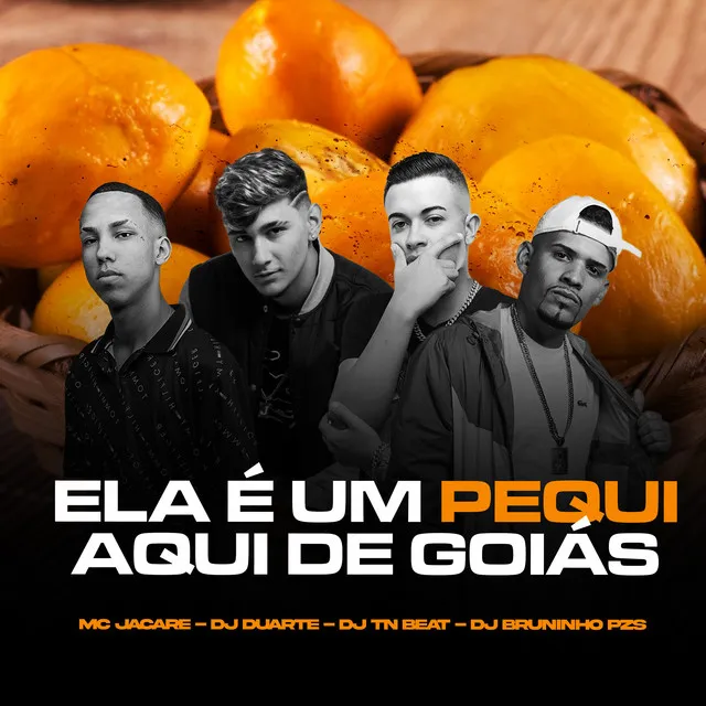 Ela É um Pequi Aqui de Goiás (feat. DJ TN Beat)