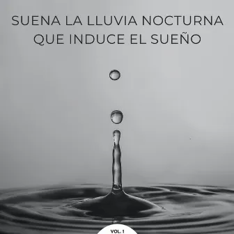 Suena La Lluvia Nocturna Que Induce El Sueño Vol. 1 by Ir a dormir rápido