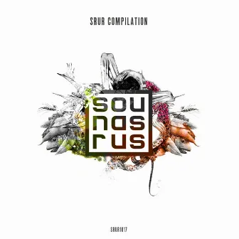 SRUR Compilation by W&DY