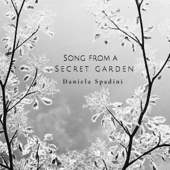 Song from a Secret Garden by Daniela Spadini