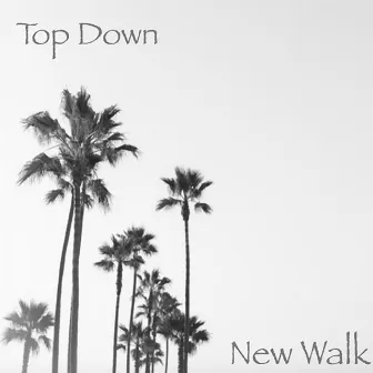 Top Down by New Walk