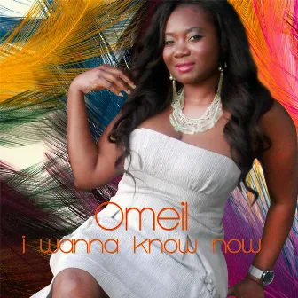 I Wanna Know Now by Omeil