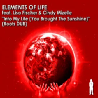 Into My Life (Dub Mixes) by Elements Of Life