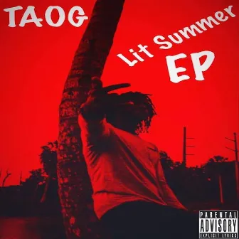 Lit Summer - EP by TAOG