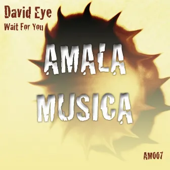 Wait For You by David Eye