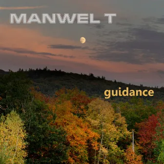 Guidance by Manwel T