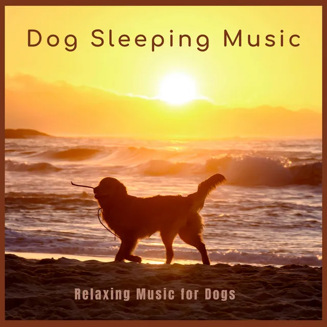 Relaxing Music for Dogs