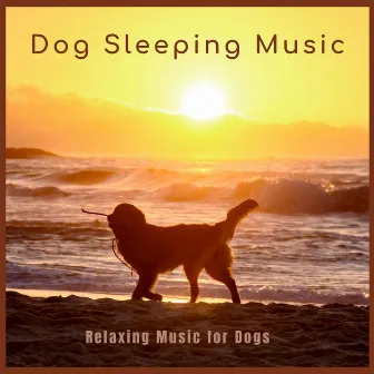 Relaxing Music for Dogs by Dog Sleeping Music