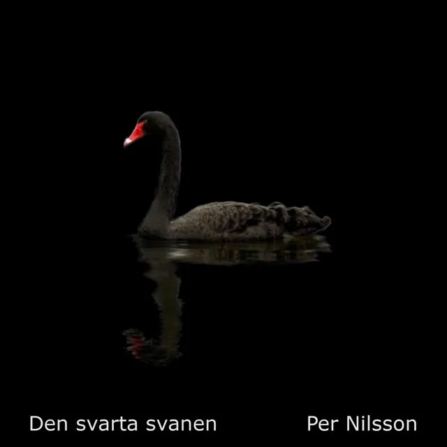 Per Nilsson