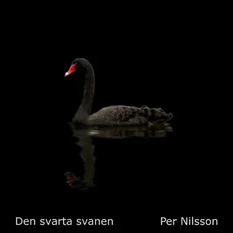 Den svarta svanen by Per Nilsson