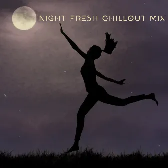 Night Fresh Chillout Mix – 2020 Chillout Electronic Music Mix for Summer Relaxation, Deep Beach Vibes, Songs Perfect for Summer Holiday by Drink Bar Chillout Music