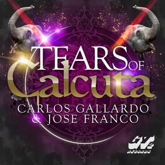 Tears of Calcuta by Jose Franco