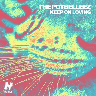 Keep on Loving by The Potbelleez