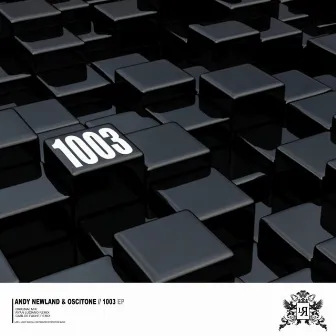 1003 EP by Andy Newland