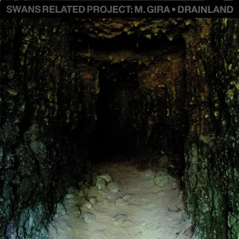 Drainland by Michael Gira