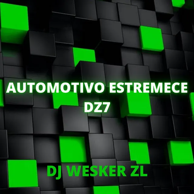 AUTOMOTIVO ESTREMECE DZ7