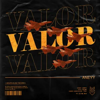 Valor (Live) by aneyy