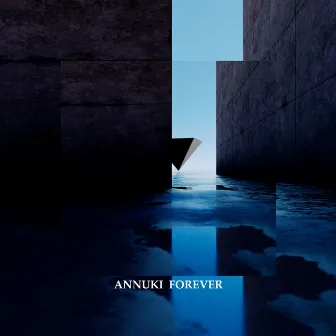 Forever (Edit) by Annuki