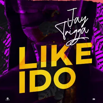 Like I Do by Jay Trigga