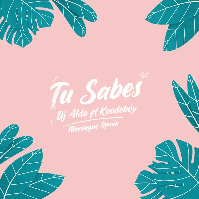 Tu Sabes - Merengue Remix