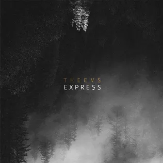 Express by Theevs