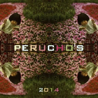 Perucho's 2014 by Unknown Artist