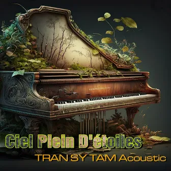 Ciel Plein D'étoiles by TRAN SY TAM Acoustic