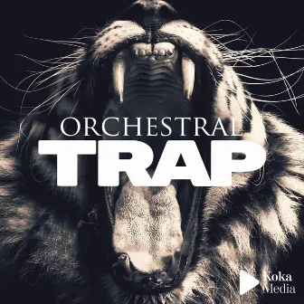 Orchestral Trap by Anthony Giordano