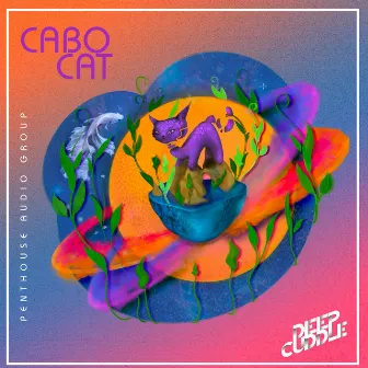 Cabo Cat by Deep Cuddle