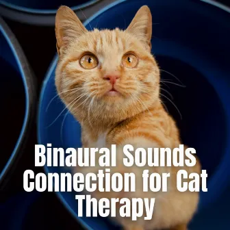 Binaural Sounds Connection for Cat Therapy by Cat Music Relaxation