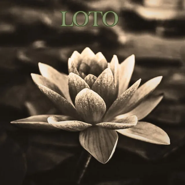 Loto