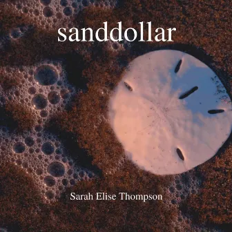 sanddollar by Sarah Elise Thompson