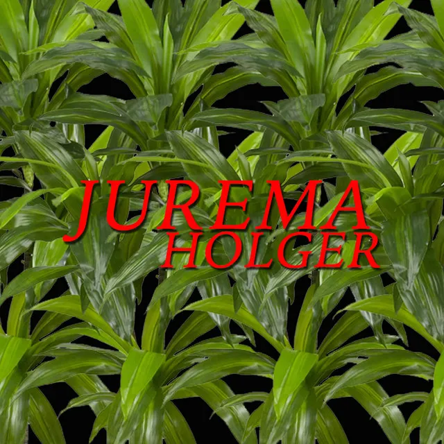 Jurema