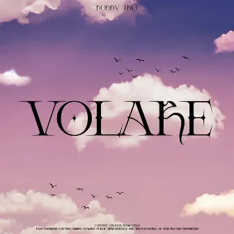 Volare by Bobby True