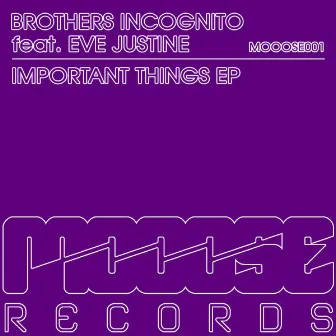 Important Things by Brothers Incognito