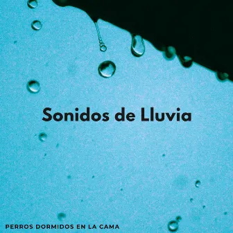 Sonidos De Lluvia: Perros Dormidos En La Cama by Relajarse Lluvia