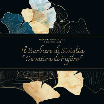 Il Barbiere di Siviglia: 