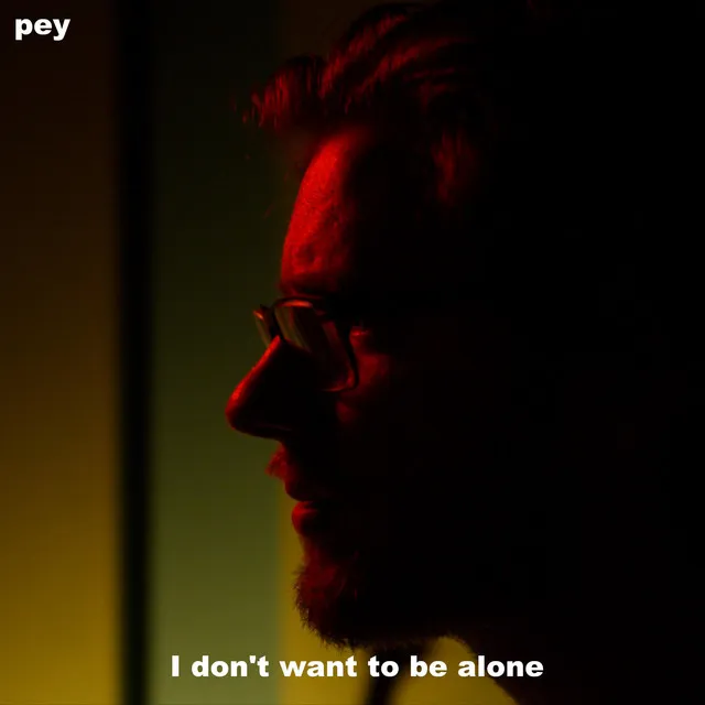 I Don't Want to be Alone