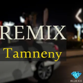 Tamneny (DEE Remix) by Mu3gza Music