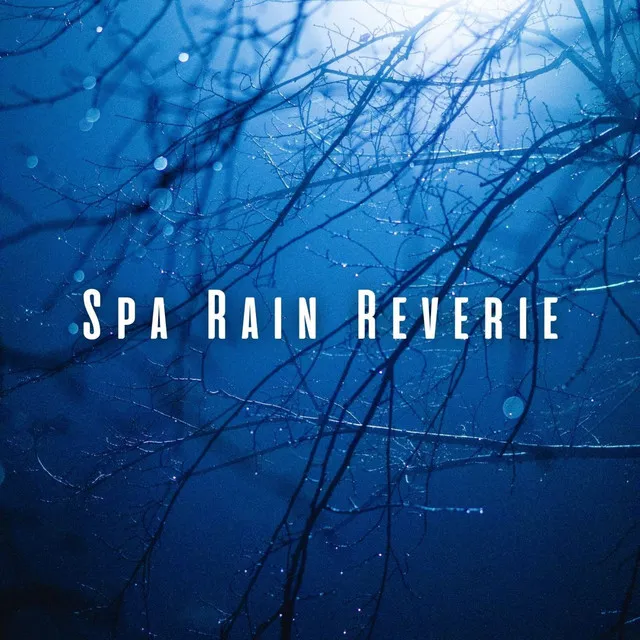 Spa Rain Reverie: Binaural Sounds for Mindful Relaxation